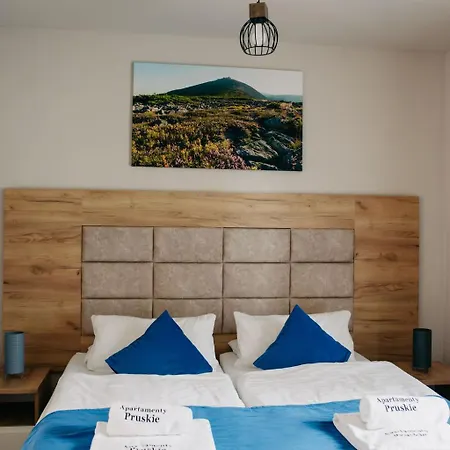 Pruskie Hotel apartamentowy Karpacz